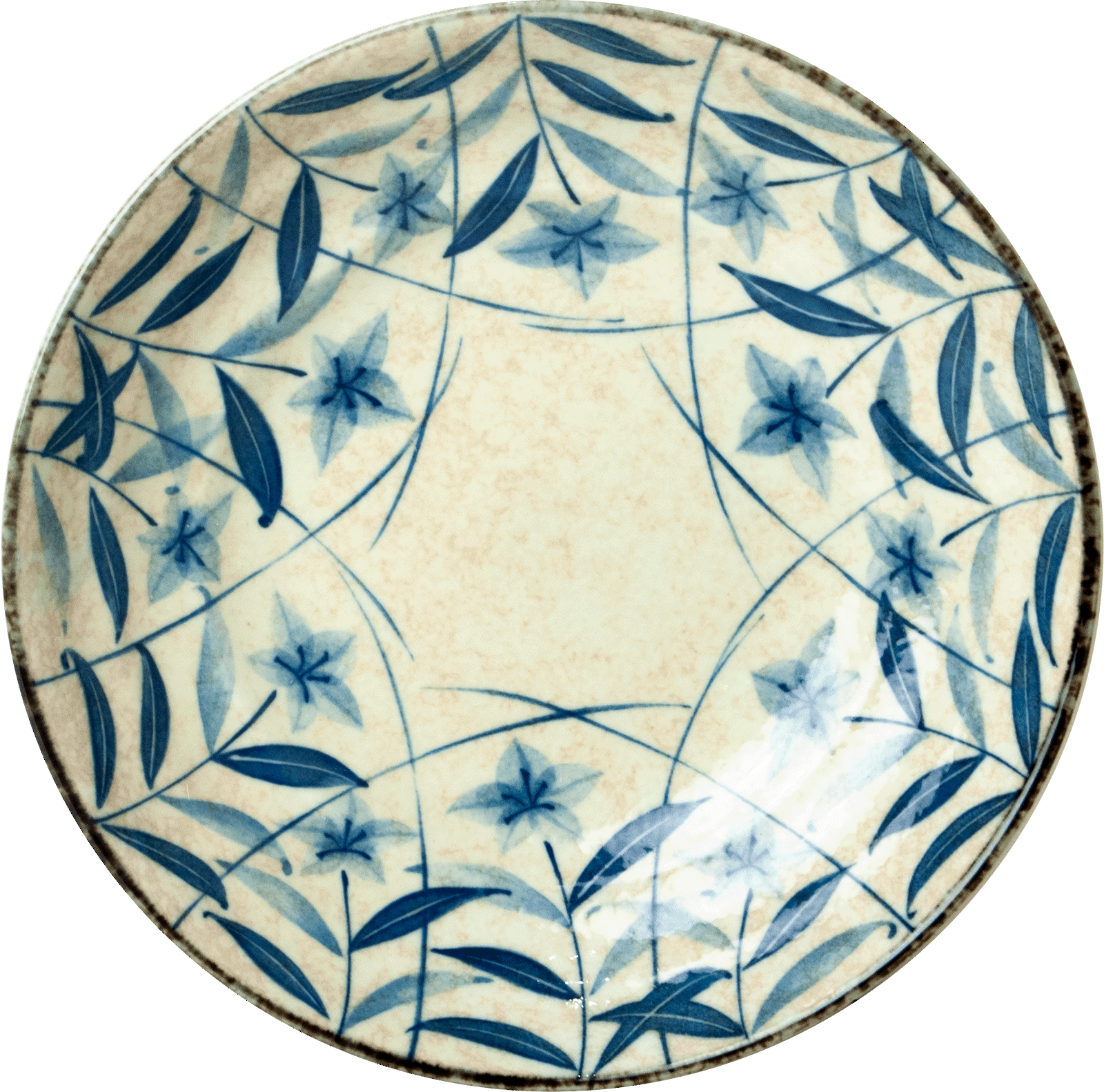 Plate Plate 1